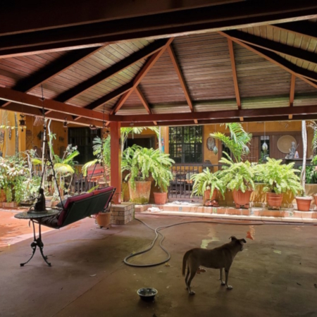 view-from-the-property